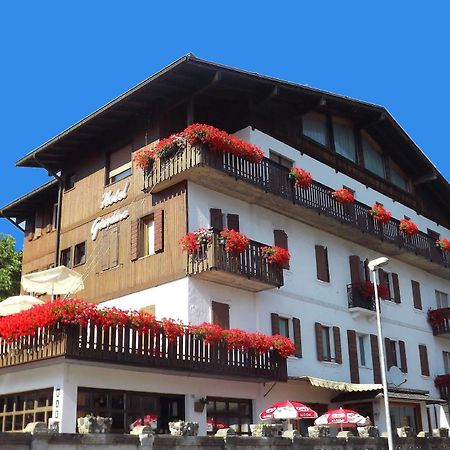 Hotel Giardino Pieve di Cadore Buitenkant foto