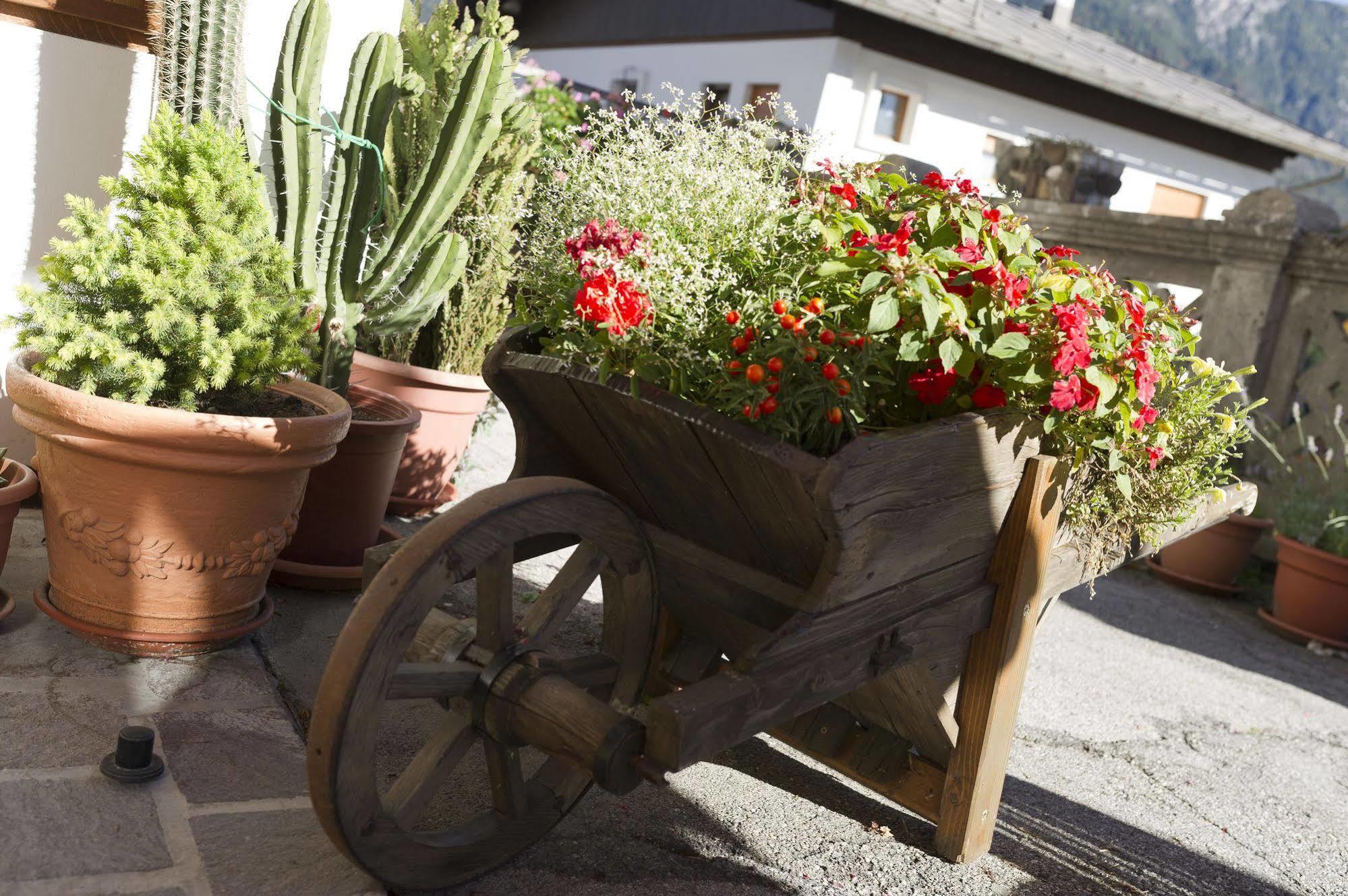 Hotel Giardino Pieve di Cadore Buitenkant foto